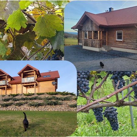 Fantastic View Vineyard Beskid Mountains Gruszow  Extérieur photo