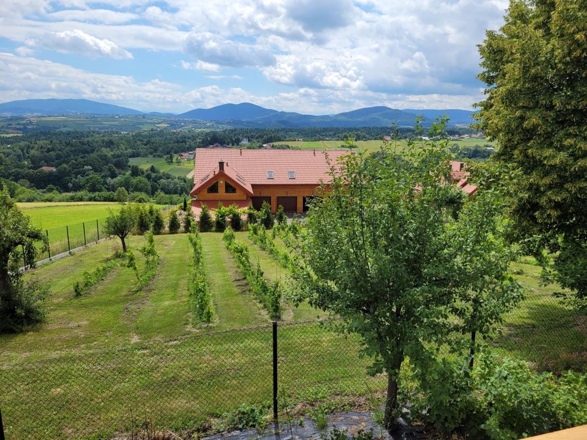 Fantastic View Vineyard Beskid Mountains Gruszow  Extérieur photo