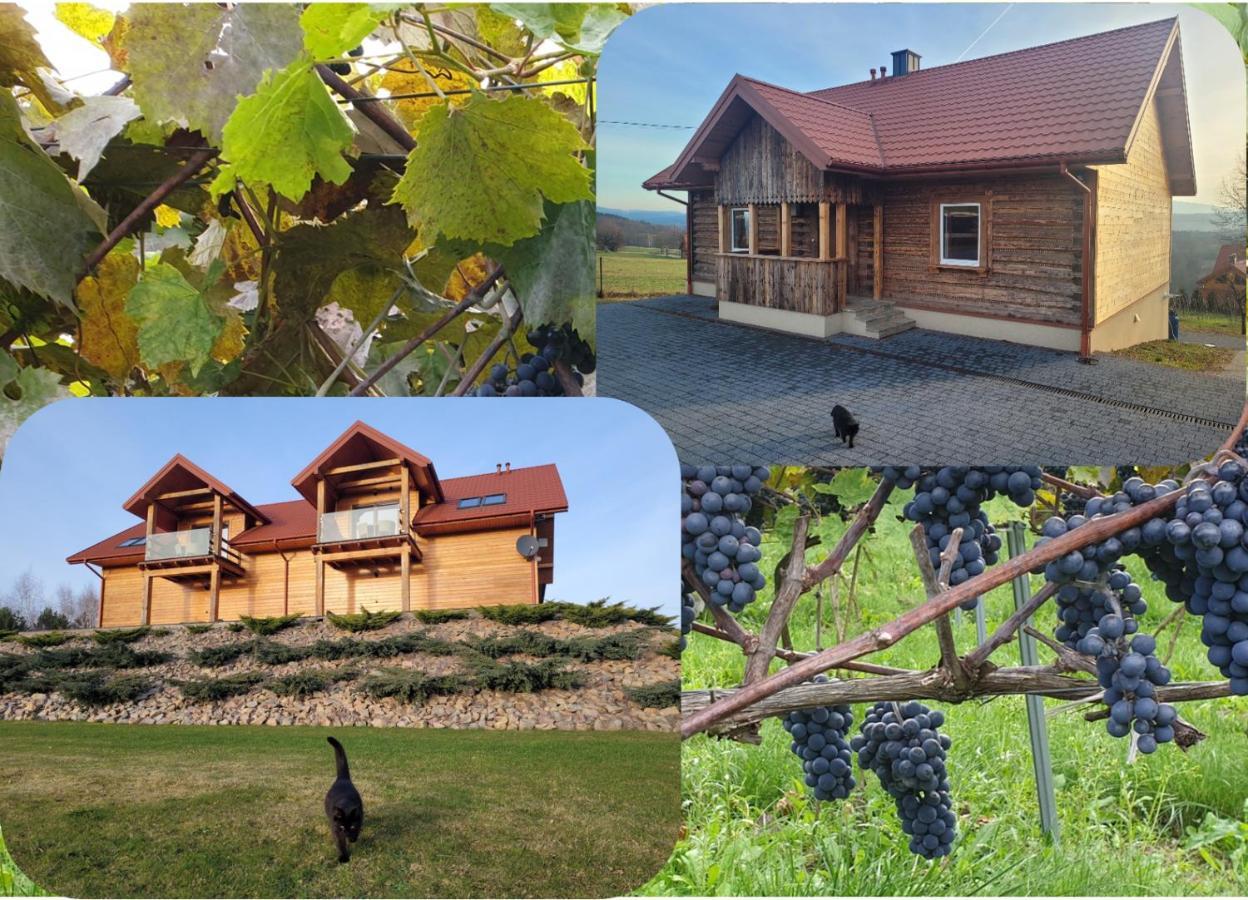 Fantastic View Vineyard Beskid Mountains Gruszow  Extérieur photo