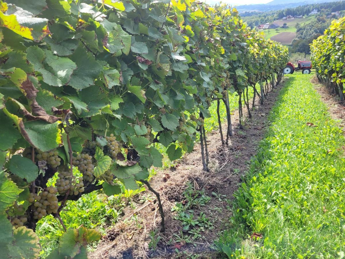 Fantastic View Vineyard Beskid Mountains Gruszow  Extérieur photo