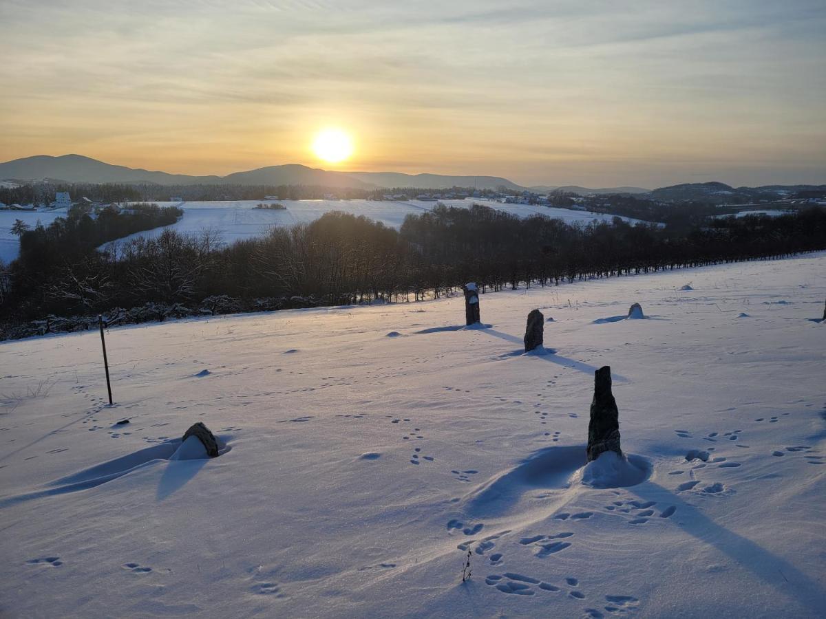 Fantastic View Vineyard Beskid Mountains Gruszow  Extérieur photo
