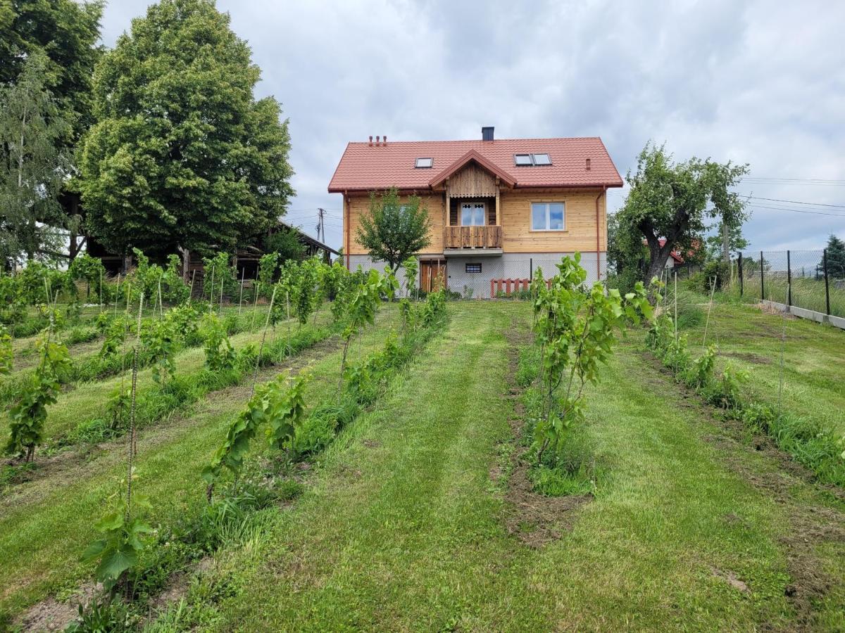 Fantastic View Vineyard Beskid Mountains Gruszow  Extérieur photo