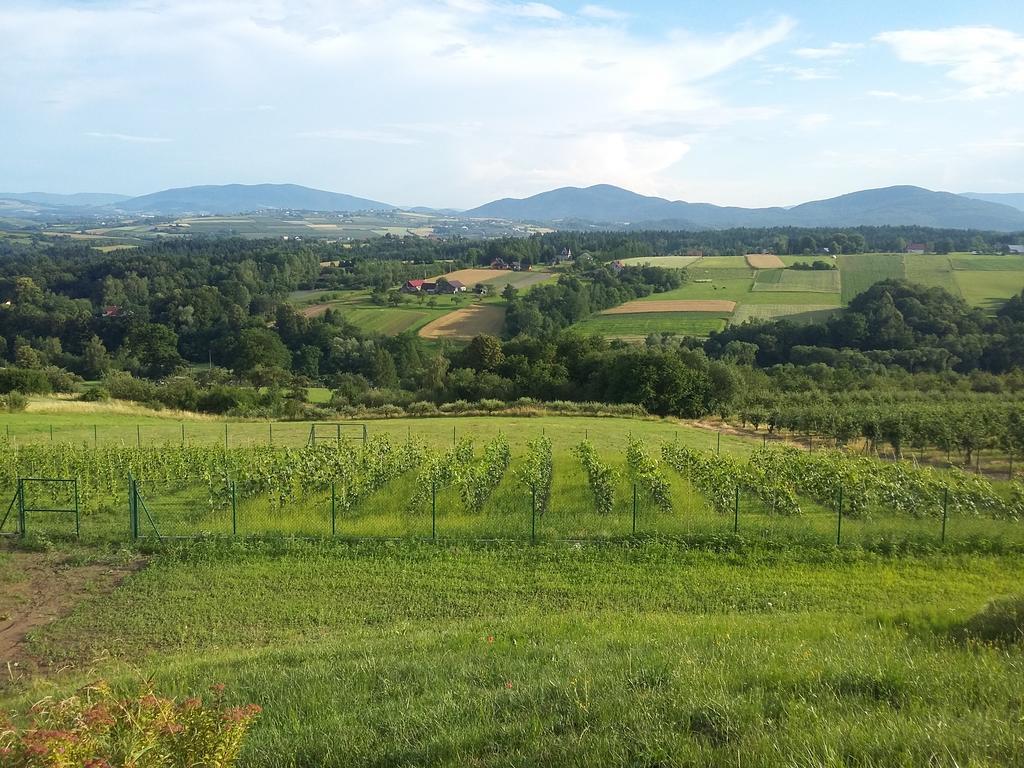 Fantastic View Vineyard Beskid Mountains Gruszow  Extérieur photo