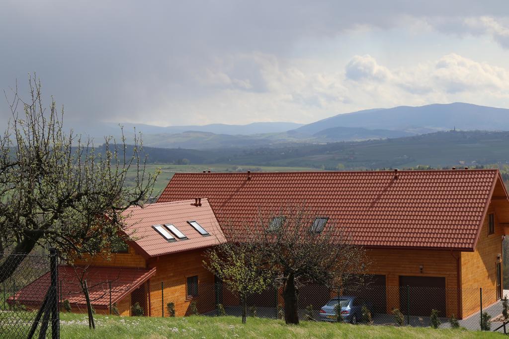 Fantastic View Vineyard Beskid Mountains Gruszow  Extérieur photo